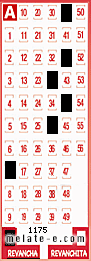 Volante ganador del sorteo 1175 de Revancha
