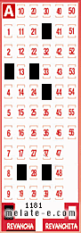 Volante ganador del sorteo 1181 de Revancha