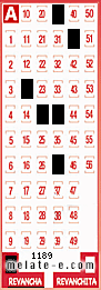 Volante ganador del sorteo 1189 de Revancha