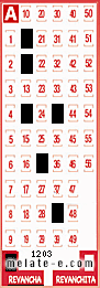 Volante ganador del sorteo 1203 de Revancha