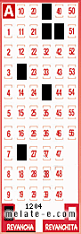 Volante ganador del sorteo 1204 de Revancha