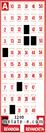 Volante ganador del sorteo 1208 de Revancha