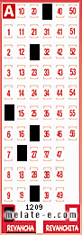 Volante ganador del sorteo 1209 de Revancha
