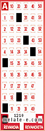 Volante ganador del sorteo 1210 de Revancha