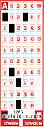 Volante ganador del sorteo 1263 de Revancha