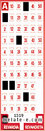 Volante ganador del sorteo 1319 de Revancha