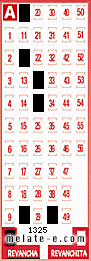 Volante ganador del sorteo 1325 de Revancha