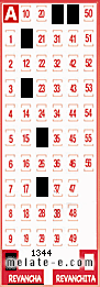 Volante ganador del sorteo 1344 de Revancha