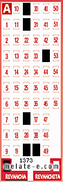 Volante ganador del sorteo 1373 de Revancha