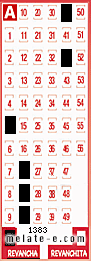 Volante ganador del sorteo 1383 de Revancha