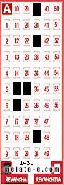 Volante ganador del sorteo 1431 de Revancha
