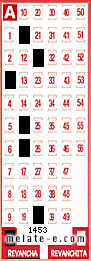 Volante ganador del sorteo 1453 de Revancha