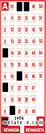 Volante ganador del sorteo 1456 de Revancha