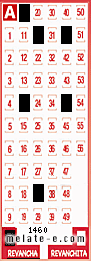 Volante ganador del sorteo 1460 de Revancha