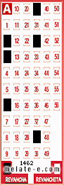 Volante ganador del sorteo 1462 de Revancha