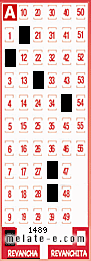 Volante ganador del sorteo 1489 de Revancha