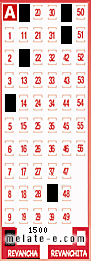 Volante ganador del sorteo 1500 de Revancha