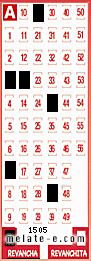 Volante ganador del sorteo 1505 de Revancha