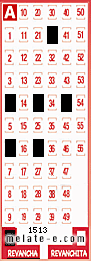 Volante ganador del sorteo 1513 de Revancha