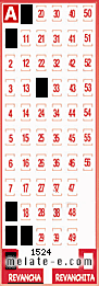 Volante ganador del sorteo 1524 de Revancha