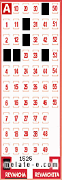 Volante ganador del sorteo 1525 de Revancha