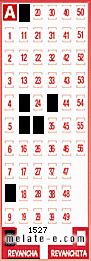 Volante ganador del sorteo 1527 de Revancha