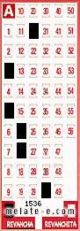 Volante ganador del sorteo 1536 de Revancha