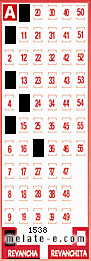 Volante ganador del sorteo 1538 de Revancha