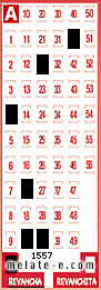 Volante ganador del sorteo 1557 de Revancha