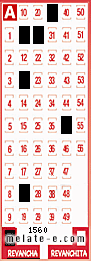 Volante ganador del sorteo 1560 de Revancha