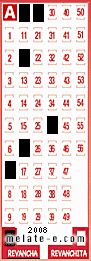 Volante ganador del sorteo 2008 de Revancha