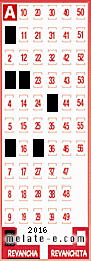 Volante ganador del sorteo 2016 de Revancha