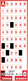 Volante ganador del sorteo 2017 de Revancha