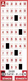 Volante ganador del sorteo 2018 de Revancha