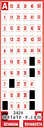 Volante ganador del sorteo 2020 de Revancha