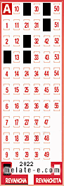 Volante ganador del sorteo 2022 de Revancha