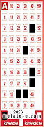 Volante ganador del sorteo 2023 de Revancha