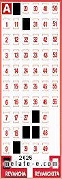 Volante ganador del sorteo 2025 de Revancha