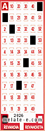 Volante ganador del sorteo 2026 de Revancha