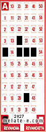 Volante ganador del sorteo 2027 de Revancha