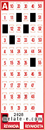 Volante ganador del sorteo 2028 de Revancha