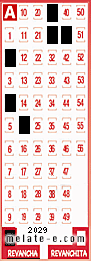 Volante ganador del sorteo 2029 de Revancha