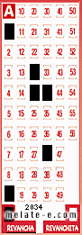 Volante ganador del sorteo 2034 de Revancha