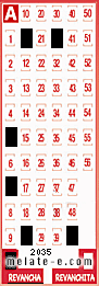 Volante ganador del sorteo 2035 de Revancha