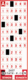 Volante ganador del sorteo 2037 de Revancha
