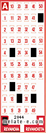 Volante ganador del sorteo 2044 de Revancha