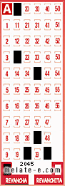 Volante ganador del sorteo 2045 de Revancha