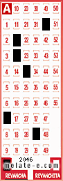 Volante ganador del sorteo 2046 de Revancha