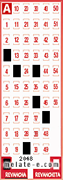 Volante ganador del sorteo 2048 de Revancha