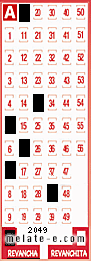 Volante ganador del sorteo 2049 de Revancha